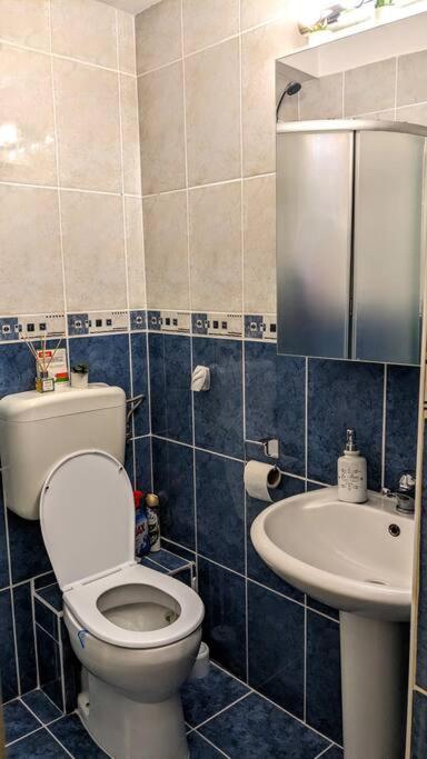 Cosy One Bedroom Flat With Free Parking & Wifi Cluj-Napoca Esterno foto